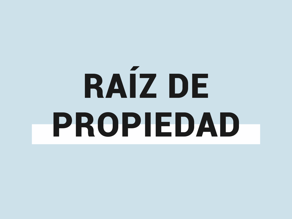 RAÍZ DE PROPIEDAD – ¿QUÉ ES?