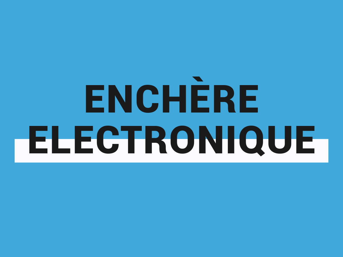 ENCHÈRE ELECTRONIQUE – QU’EST-CE QUE C’EST?