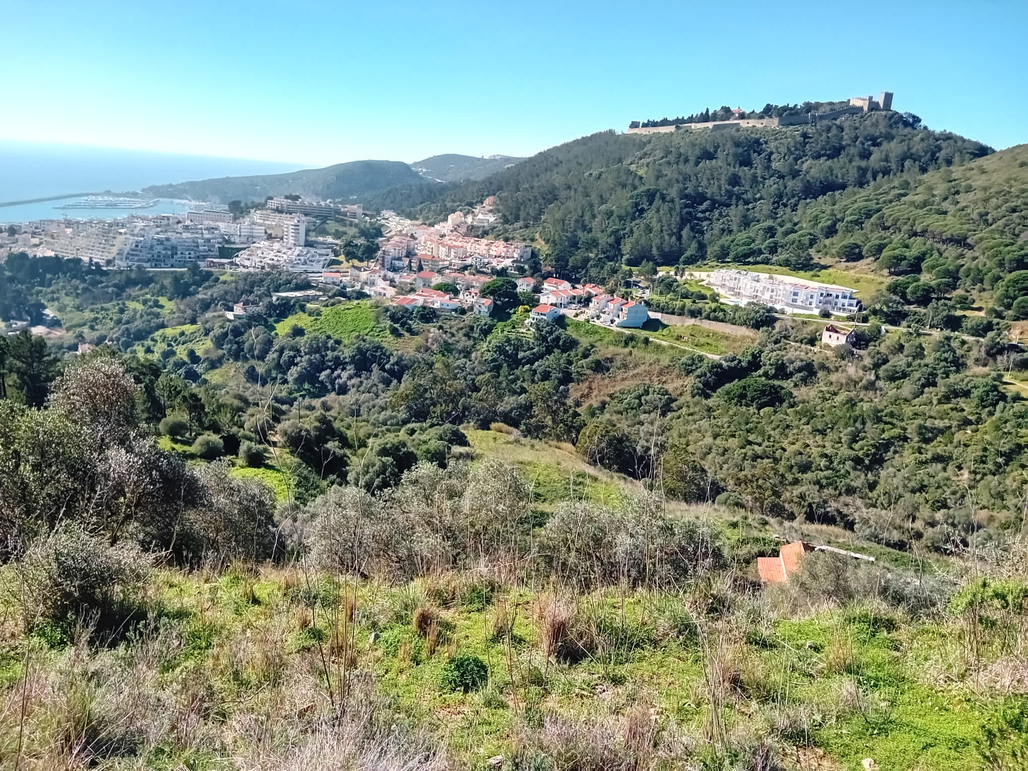 Land with 3,5 Hectares · Sesimbra