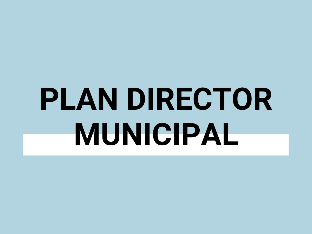 PLAN DIRECTOR MUNICIPAL (PDM)