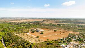 Procura de Terrenos em Portugal aumenta
